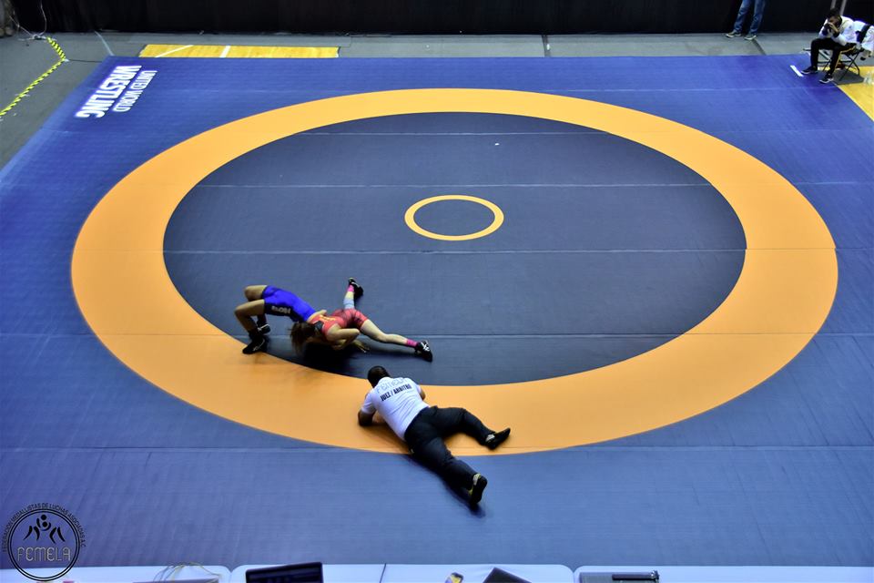 Competition Wrestling Mats