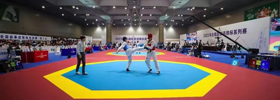 Taekwondo Mat